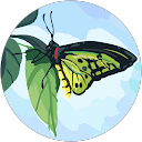 Jackie Tenze profile picture